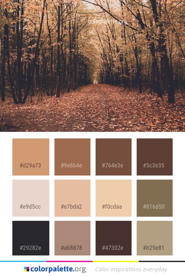 Woodland Path Nature Color Palette