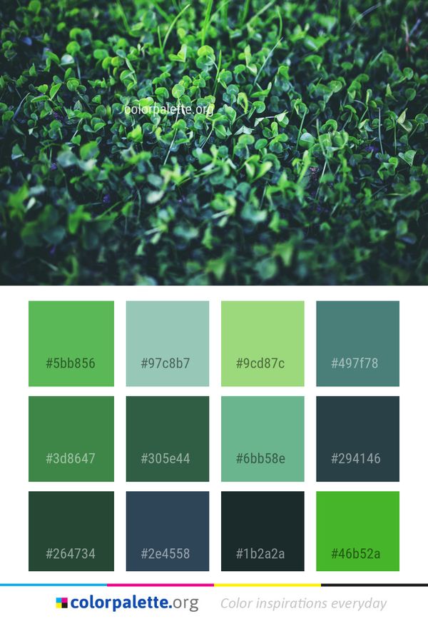 Green Plant Grass Color Palette