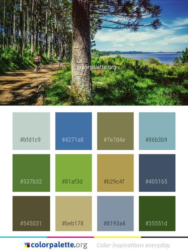 Nature Reserve Wilderness Color Palette