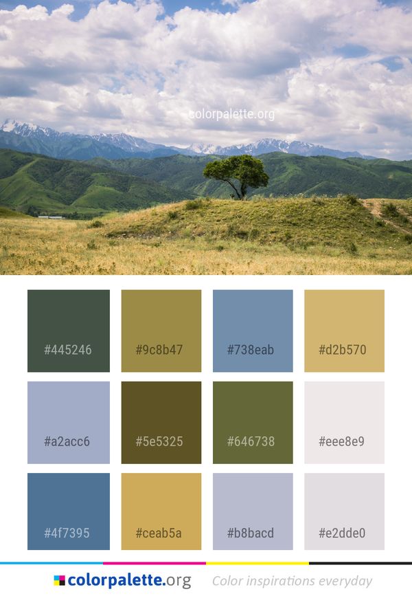 Sky Highland Grassland Color Palette