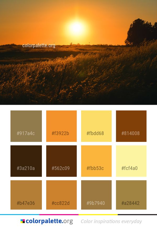 Sky Sun Field Color Palette