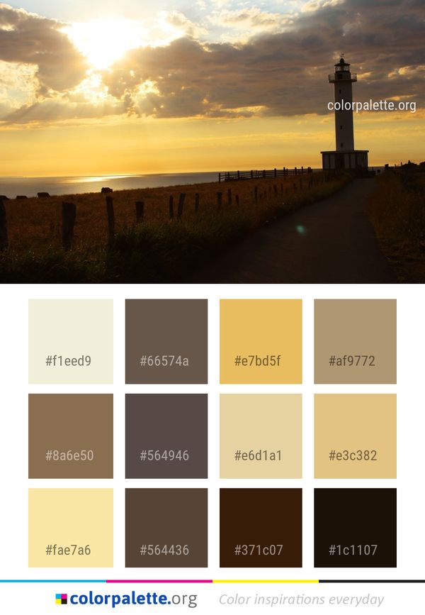 Sky Tower Horizon Color Palette