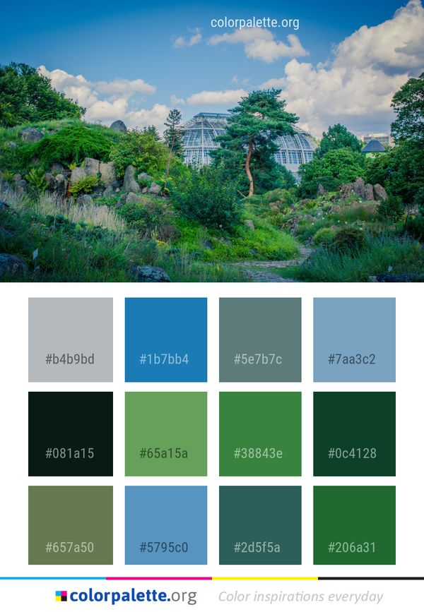 Vegetation Nature Sky Color Palette