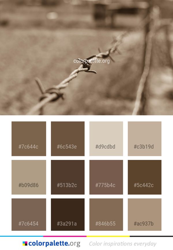 Black And White Twig Branch Color Palette