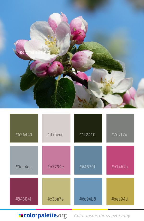 Blossom Pink Spring Color Palette