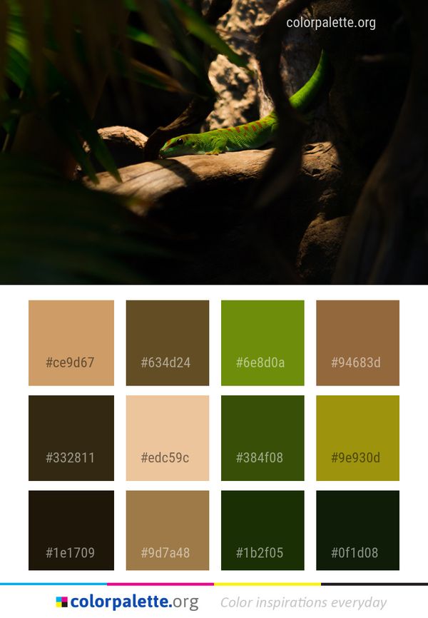 Fauna Organism Reptile Color Palette