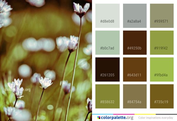 Flower Flora Spring Color Palette