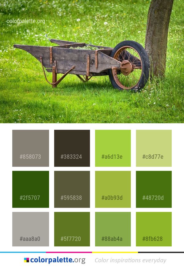 Grass Plant Cart Color Palette