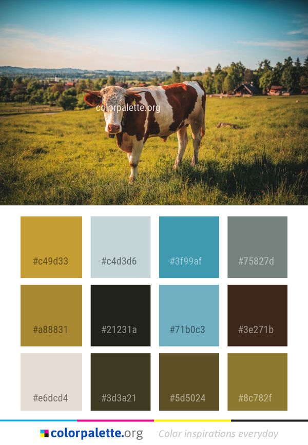 Grassland Pasture Cattle Like Mammal Color Palette