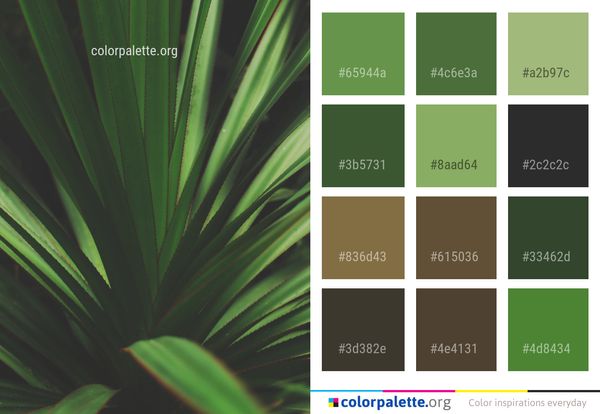 Green Leaf Plant Color Palette