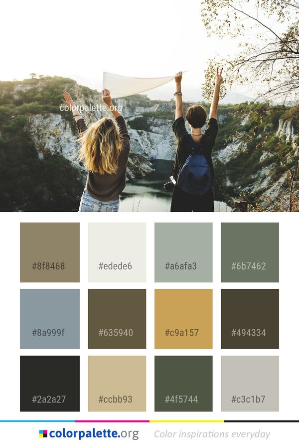 Photograph Tree Photography Color Palette