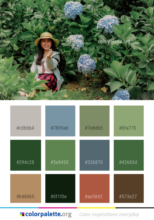 Plant Flower Hydrangea Color Palette