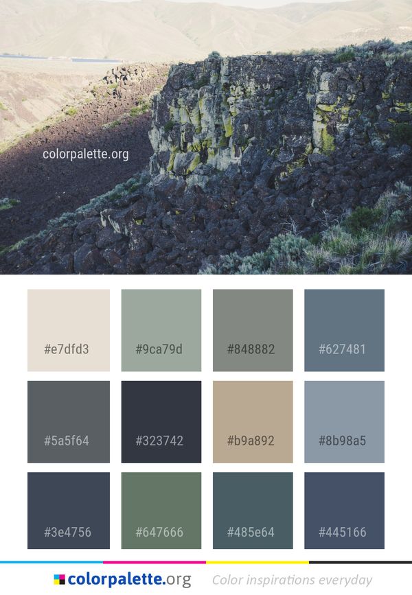 Rock Escarpment Tree Color Palette