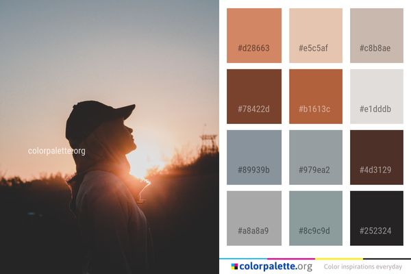 Sky Sun Sunrise Color Palette