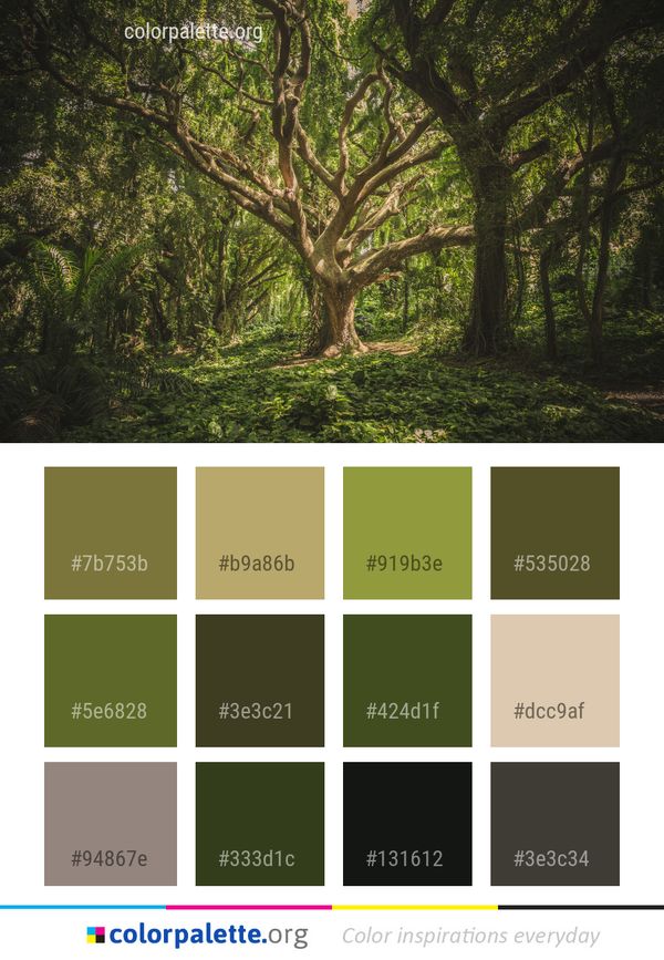 Tree Vegetation Woodland Color Palette