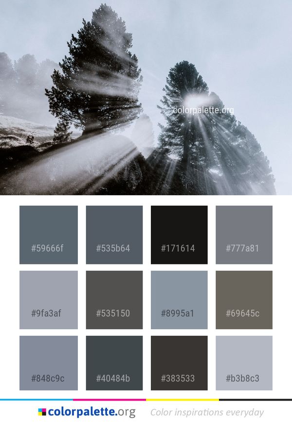 Tree Woody Plant Water Color Palette