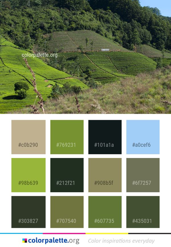 Vegetation Highland Hill Color Palette