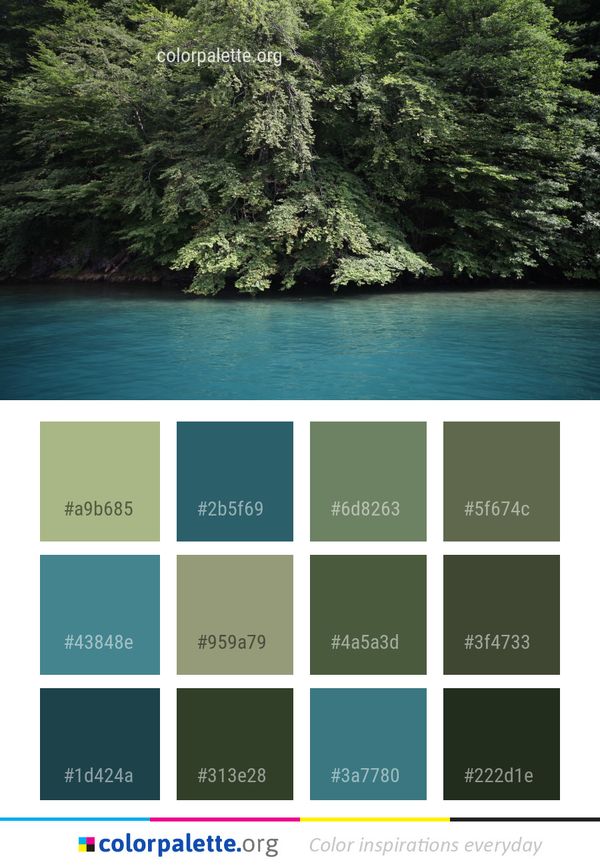 Water Nature Vegetation Color Palette