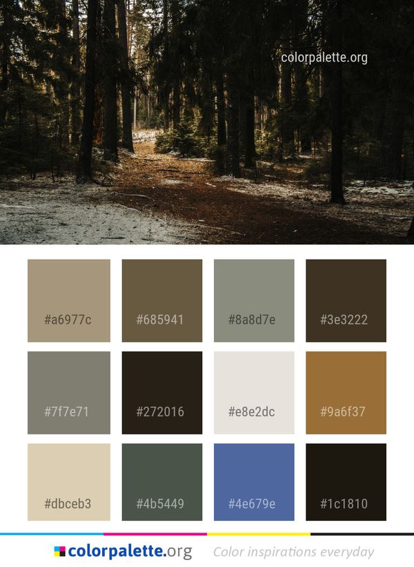 Woodland Forest Nature Color Palette