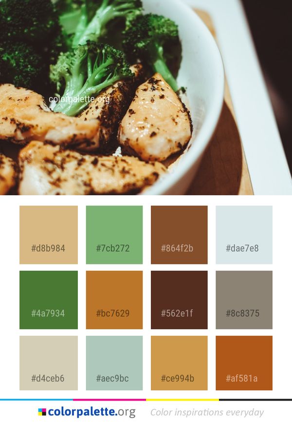 Dish Vegetarian Food Color Palette