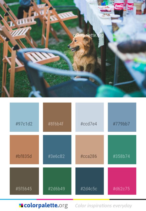 Dog Mammal Like Color Palette