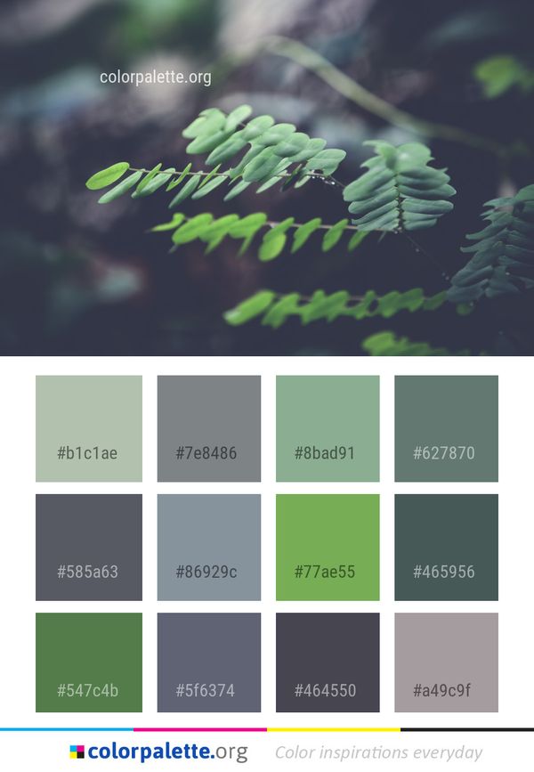 Green Vegetation Leaf Color Palette