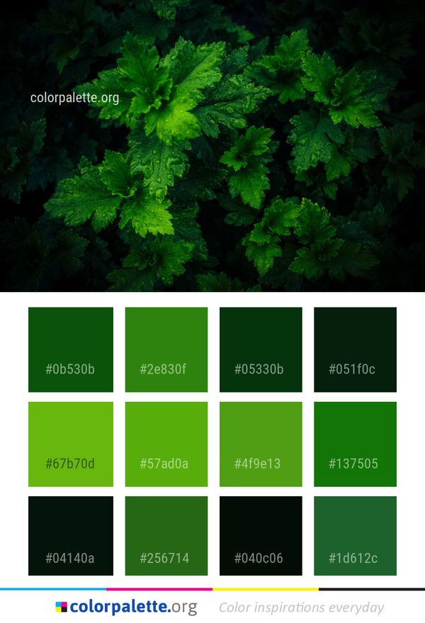 Green Vegetation Leaf Color Palette