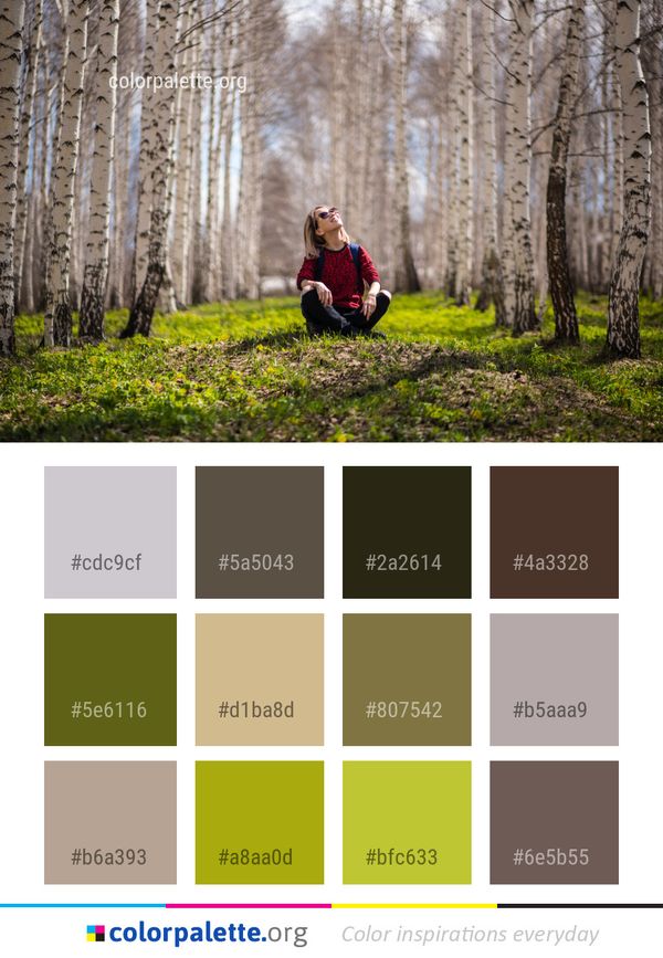 Tree Nature Woody Plant Color Palette