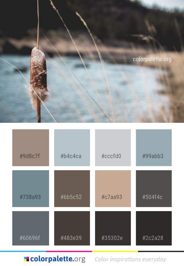 Water Sky Grass Color Palette