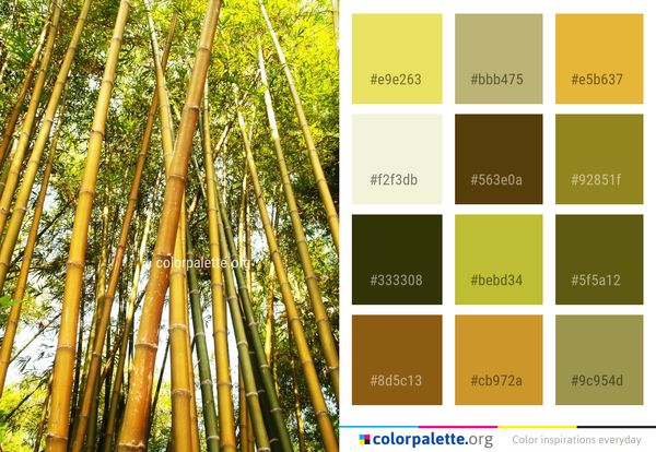 Bamboo Grass Family Plant Stem Color Palette