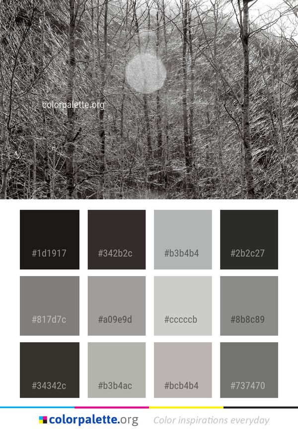 Black And White Tree Color Palette