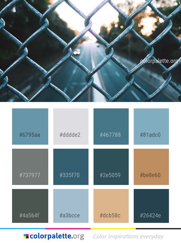 Blue Light Wire Fencing Color Palette
