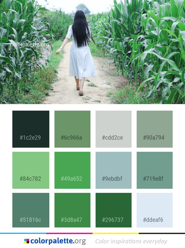 Grass Crop Plant Color Palette