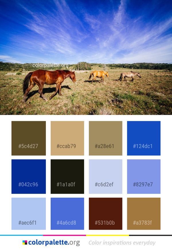 Grassland Sky Ecosystem Color Palette