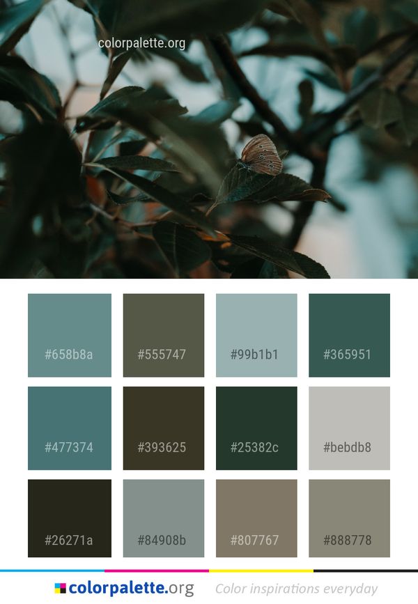 Leaf Branch Plant Color Palette