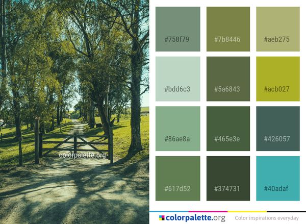 Nature Tree Leaf Color Palette