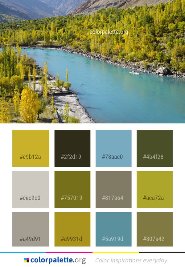 Nature Water Wilderness Color Palette