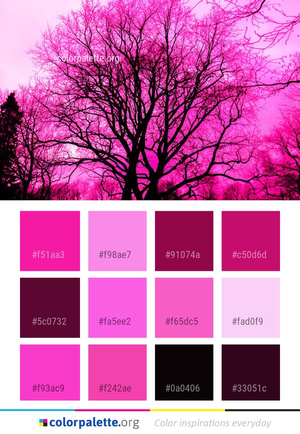 Pink Sky Branch Color Palette