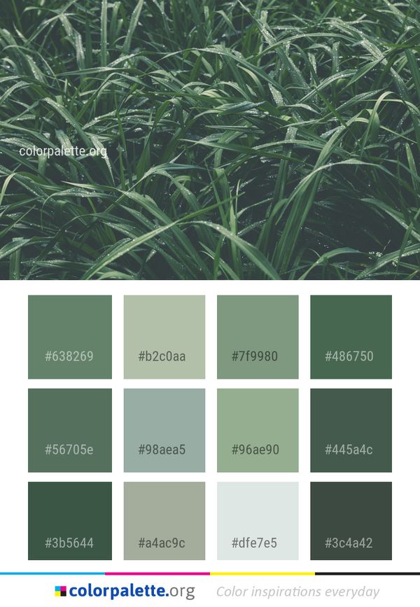 Plant Grass Vegetation Color Palette