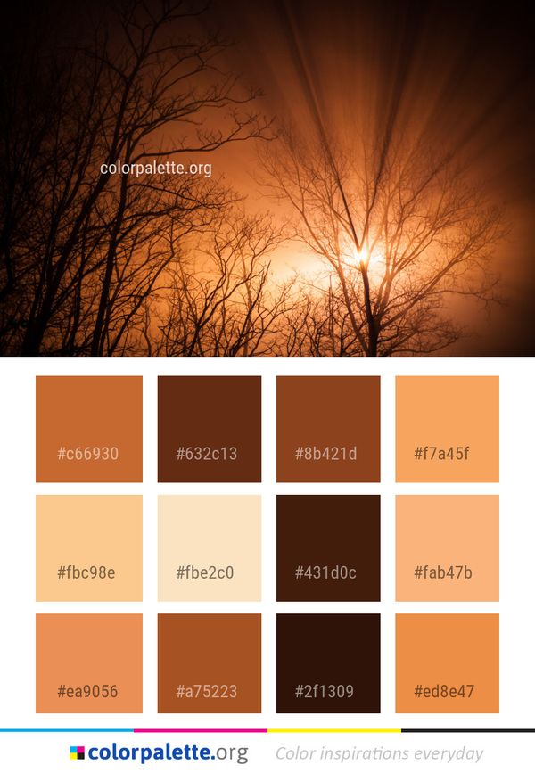 Sky Nature Tree Color Palette