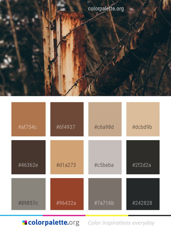 Tree Branch Wood Color Palette