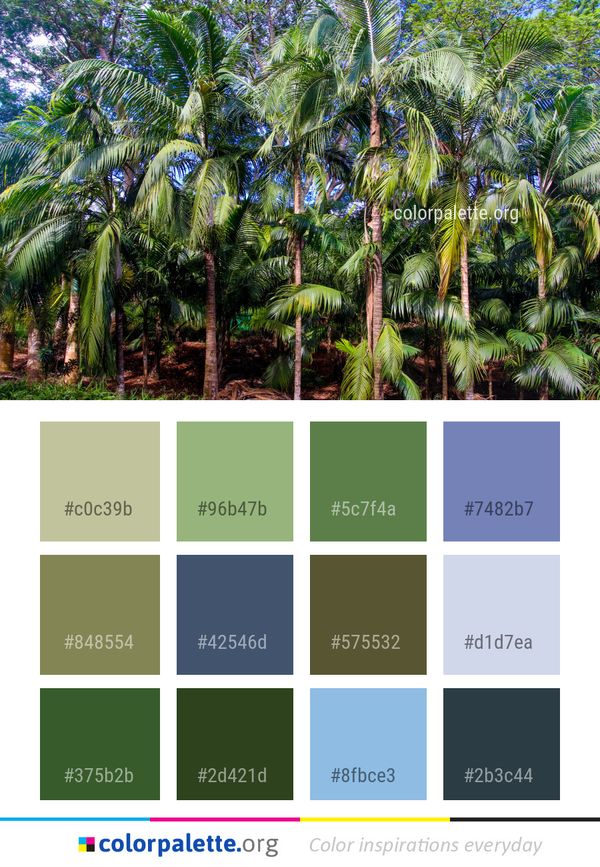 Vegetation Tree Plant Color Palette