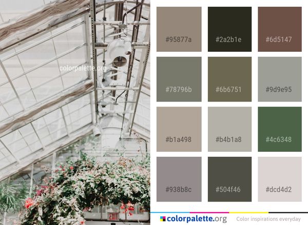 Architecture Window Flower Color Palette
