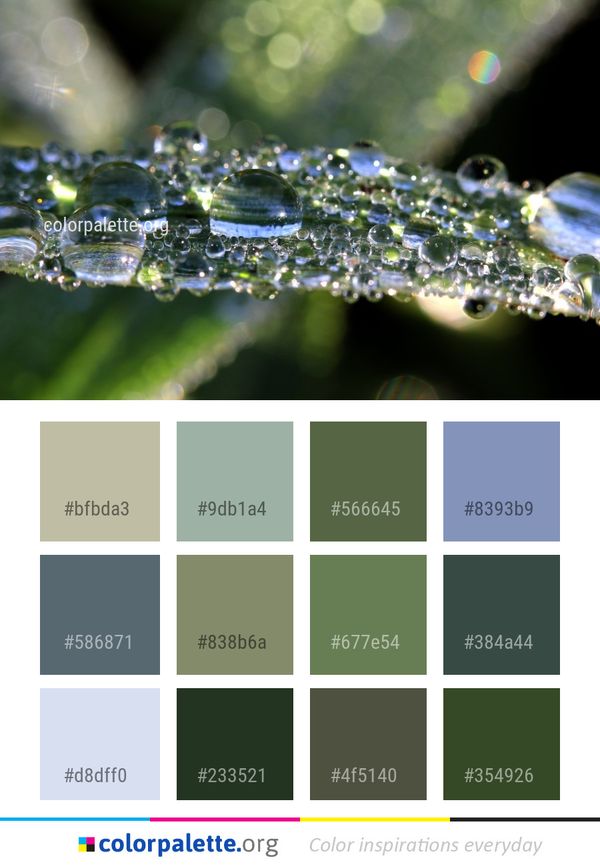 Dew Water Drop Color Palette