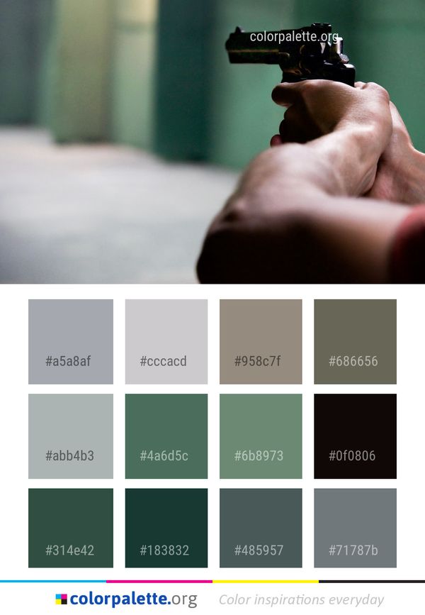Firearm Hand Finger Color Palette