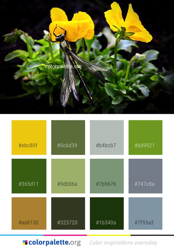 Flora Flower Insect Color Palette