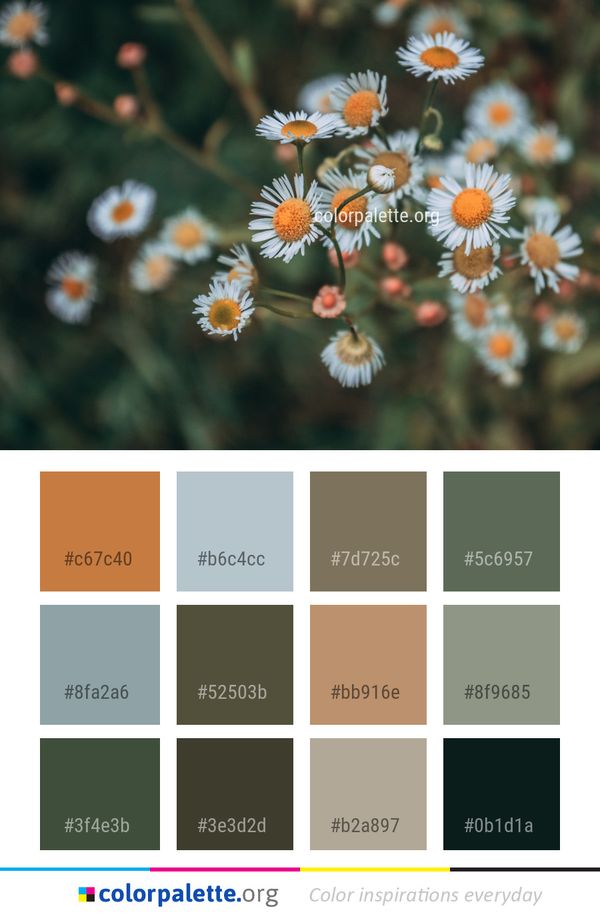Flower Flora Spring Color Palette
