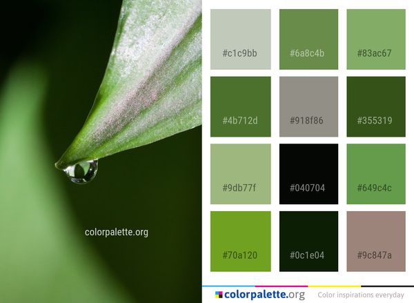 Leaf Green Water Color Palette