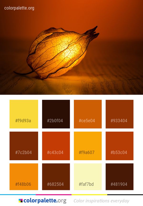 Light Leaf Still Life Photography Color Palette