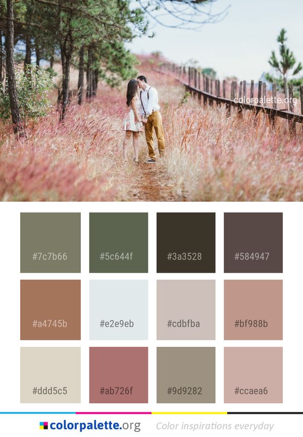 Photograph Tree Path Color Palette